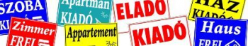 dekorwebshop - Kiadó - Eladó