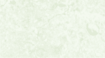 Névjegypapír A/4 dekor karton oklevél világos zöldes 228 18 A4 230 g/m2