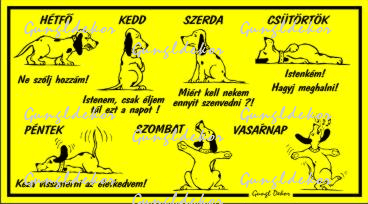 Kutyusok Minden Napra Hetfo Kedd Szerda Csutortok Pentek Szombat Vasarnap Humoros Vicces Tabla Matrica Humoros Vicces Poenos Dekorwebshop Hu