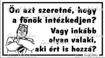 Ön azt szeretné hogy a főnök intézkedjen? humoros vicces tábla matrica