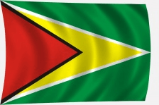 Guyana zászló